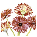 Paper+Design Gerbera Luncheon Napkins