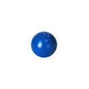 Alliance Shot Put 1kg