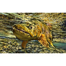 Mata zewnętrzna (70x40cm)