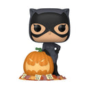 DC Comics Catwoman w/Pumpkin Pop! RS