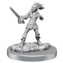 D&D Nolzurs Marvelous Miniature