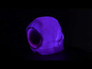 Skull Light Up Speaker