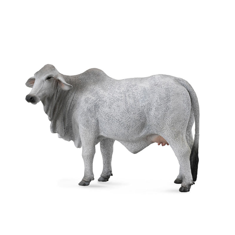 Zbierz figurkę krowy Brahmana (duża)