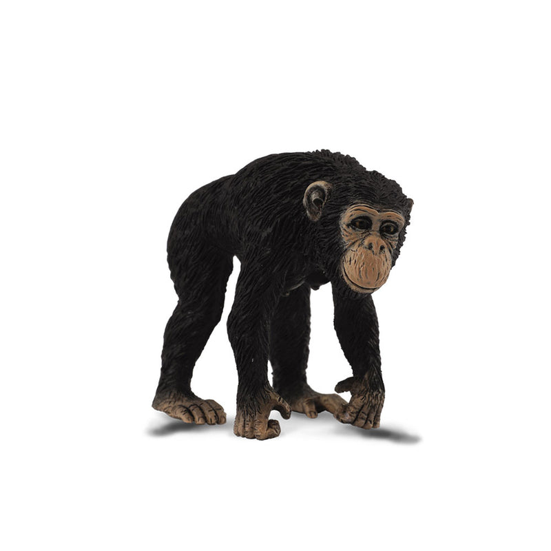 Zbierz figurkę szympansa (średnia)