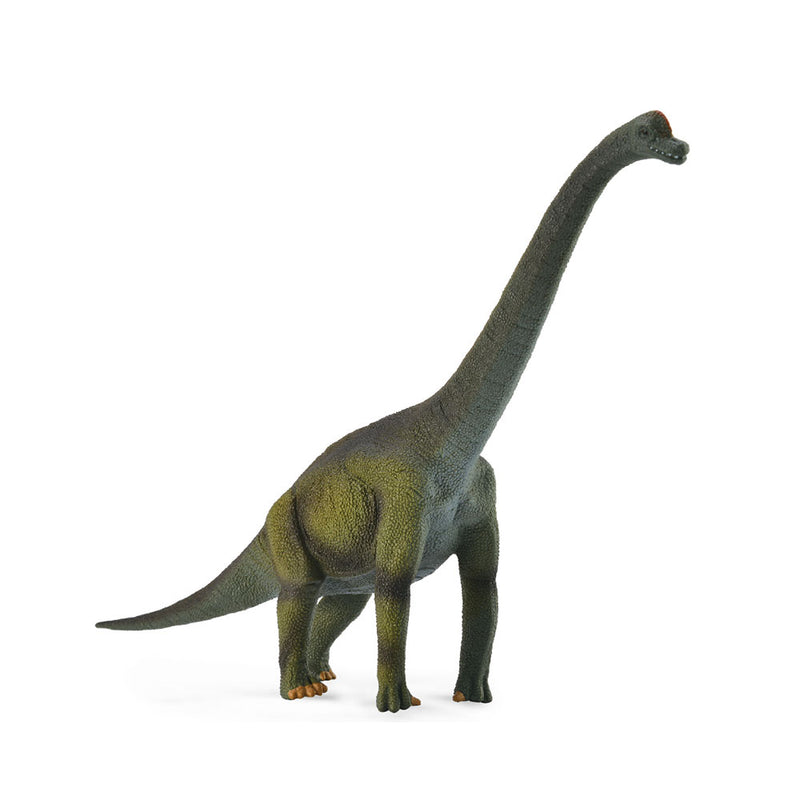 Zbierz figurkę dinozaura brachiozaura