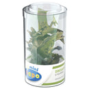 Figurki Dinozaurów Papo Mini Plus 6szt