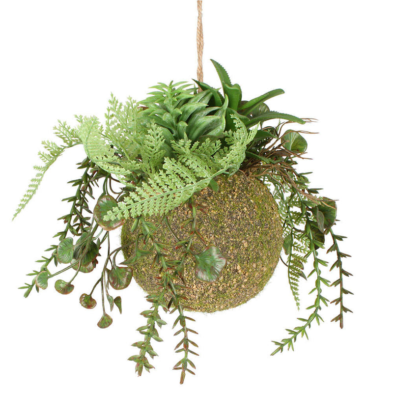 Mieszana zawieszka Moana Kokedama