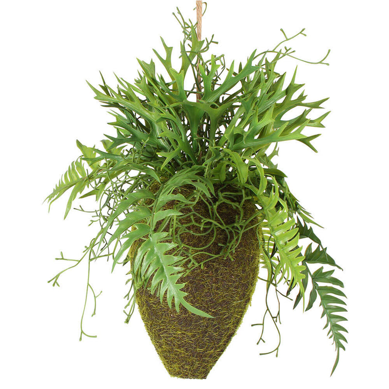 Mieszana zawieszka Moana Kokedama