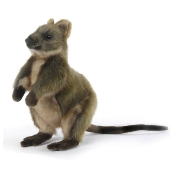 Hansa Quokka Plush Toy (22cm)