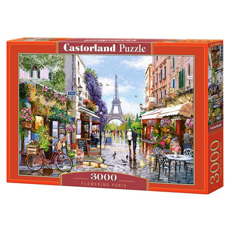 Puzzle Castorland Classic 3000szt