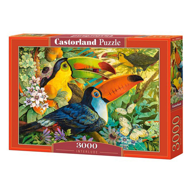 Puzzle Castorland Classic 3000szt