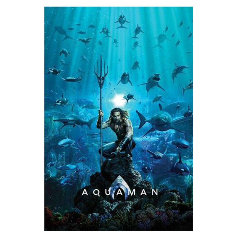 Plakat Aquamana