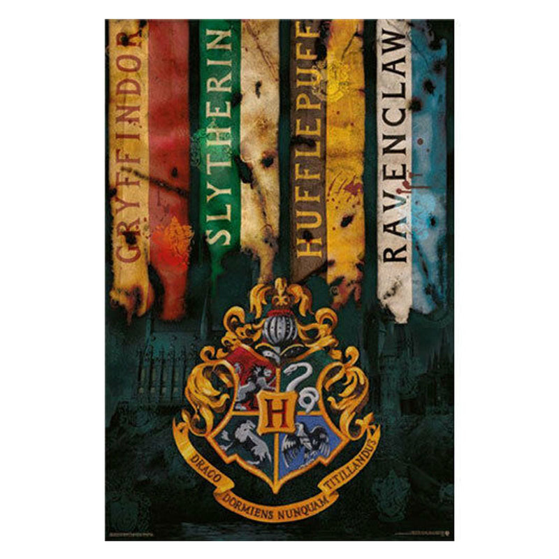 Plakat o Harrym Potterze