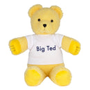 Zagraj w School Plush