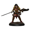 Pathfinder Battles Premium Malowane Ryc