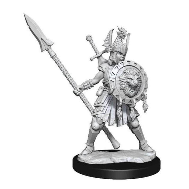 Zestaw miniaturowych modeli D&D Frameworks