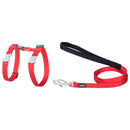 Klasyczna kombinacja uprzęży i smyczy dla kota