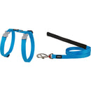 Klasyczna kombinacja uprzęży i smyczy dla kota