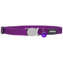 Klasyczna obroża dla kota