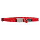 Klasyczna obroża dla kota