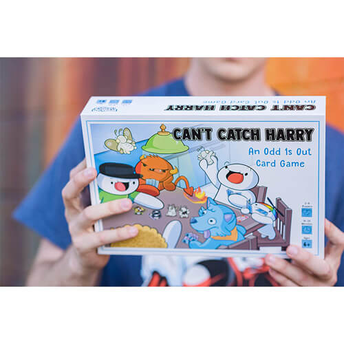 Can't Catch Harry Board Game