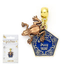 Srebrna zawieszka HP z suwakiem